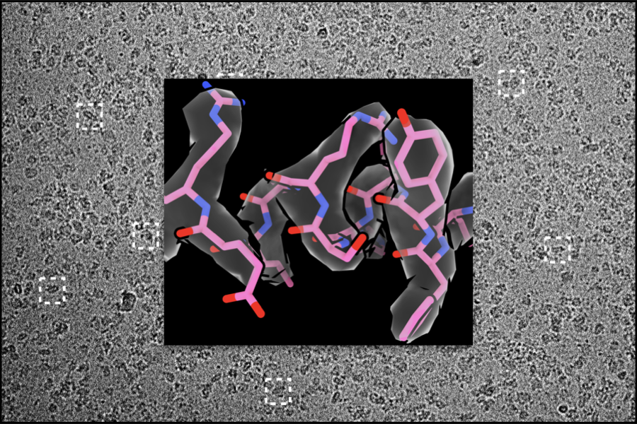 sharma-lab