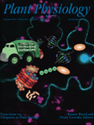 Plant Physiology