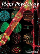 Plant Physiology