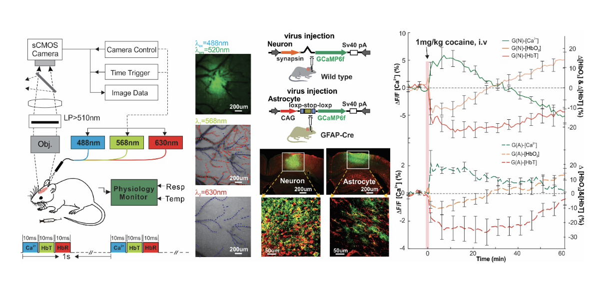 communications biology