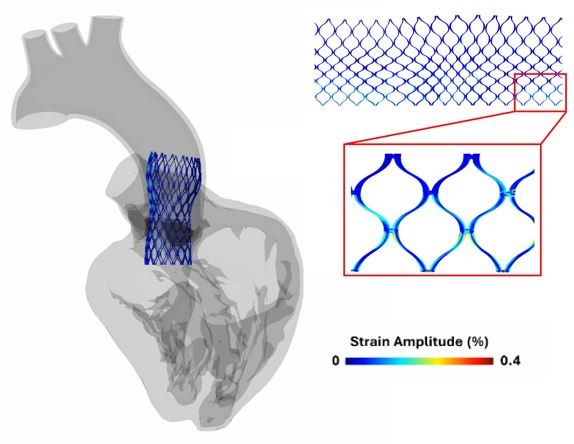 Strain_Amplitude