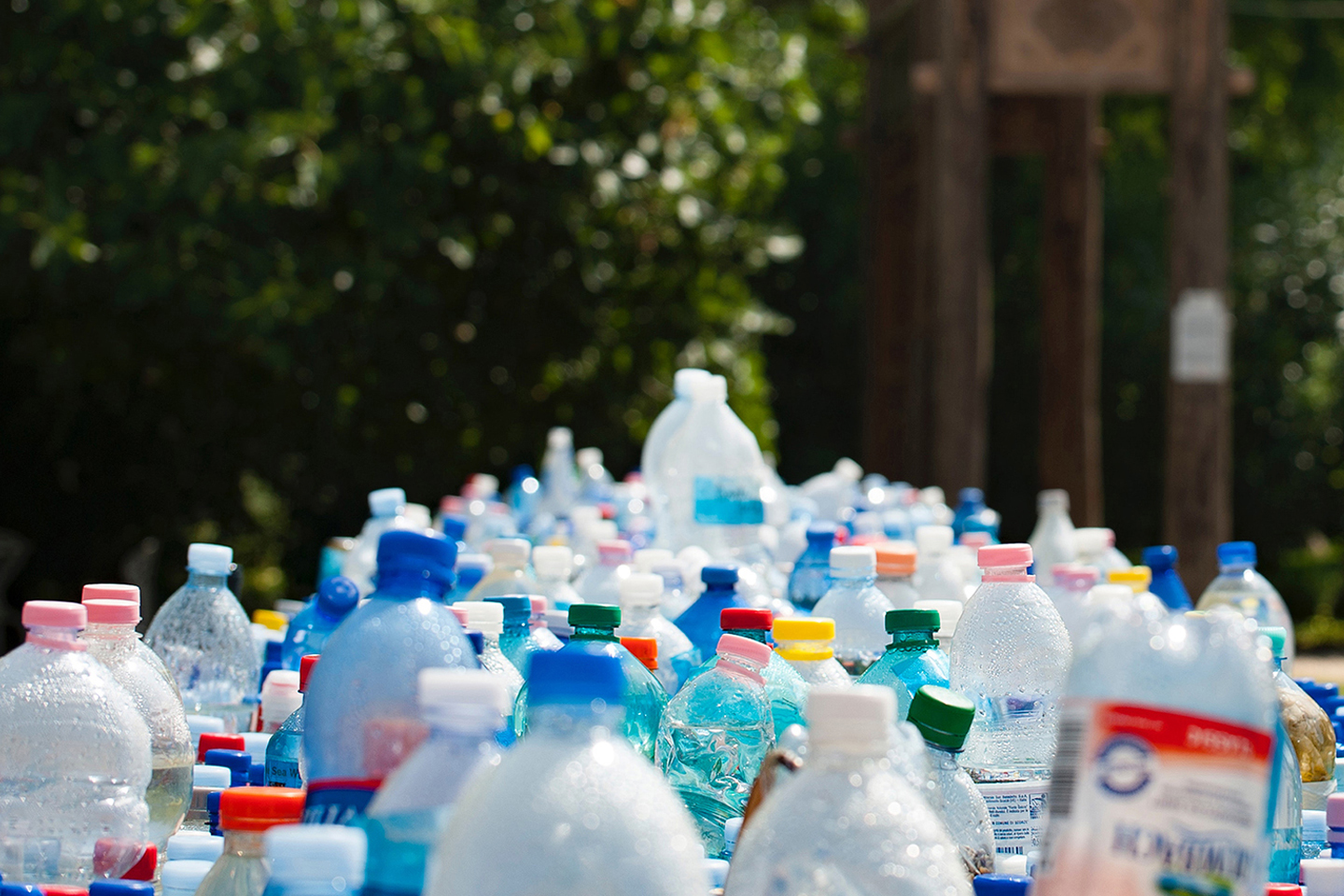 image of bottles and cans