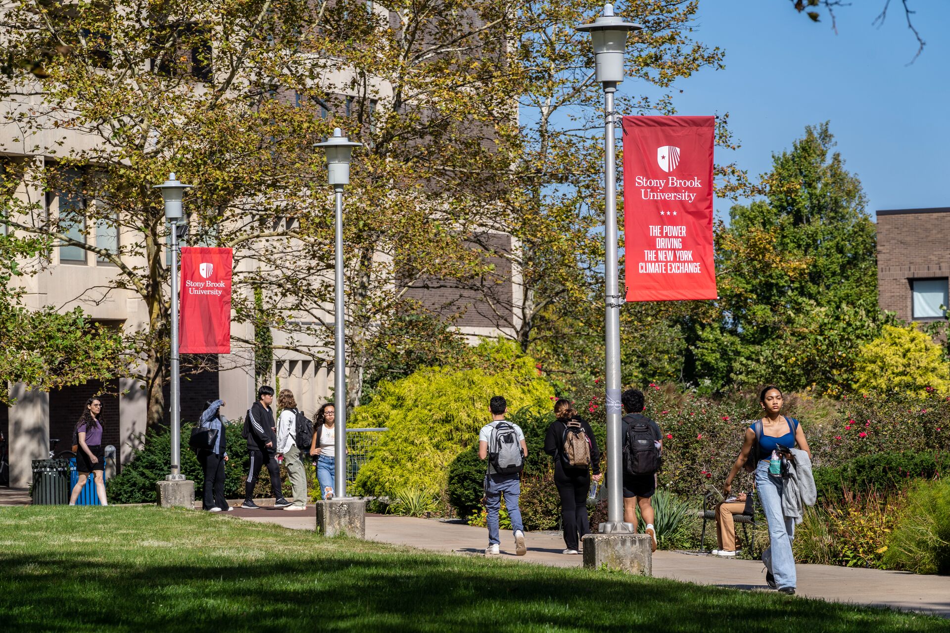 academic mall