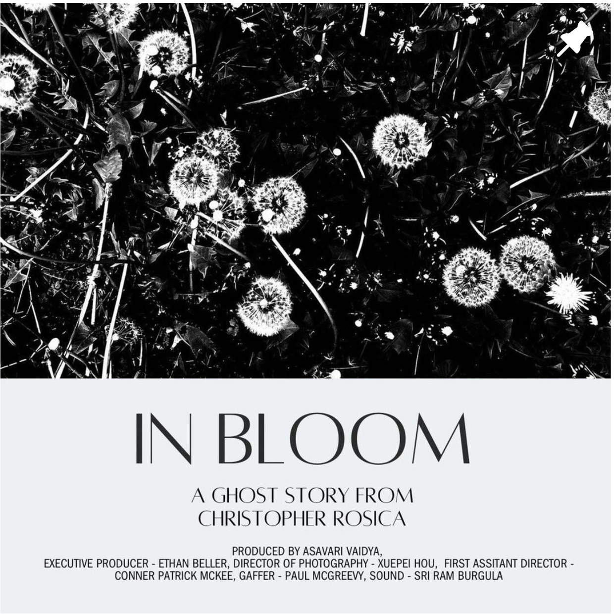 In Bloom,  