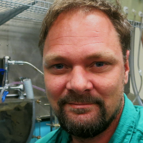 Nils Volkenborn, Sediment biogeochemistry