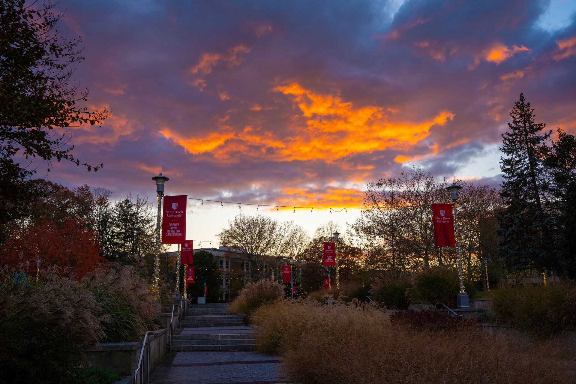 fall sunset