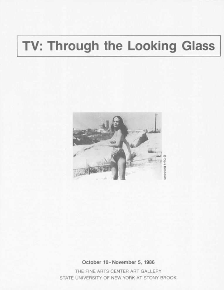 tv: through the looking glass